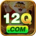 12q APK Pro v3.6.1