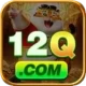 12q APK Pro v3.6.1